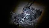Části ruského kamikaze dronu